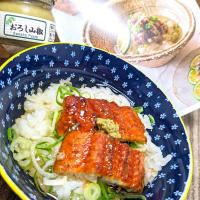 鰻ィーヌのひつまぶし出汁茶漬け